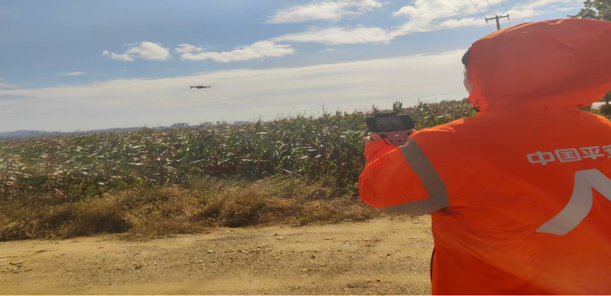 平安产险威海中心支公司多措并举护航“三秋”，为农户筑牢粮食安全防线