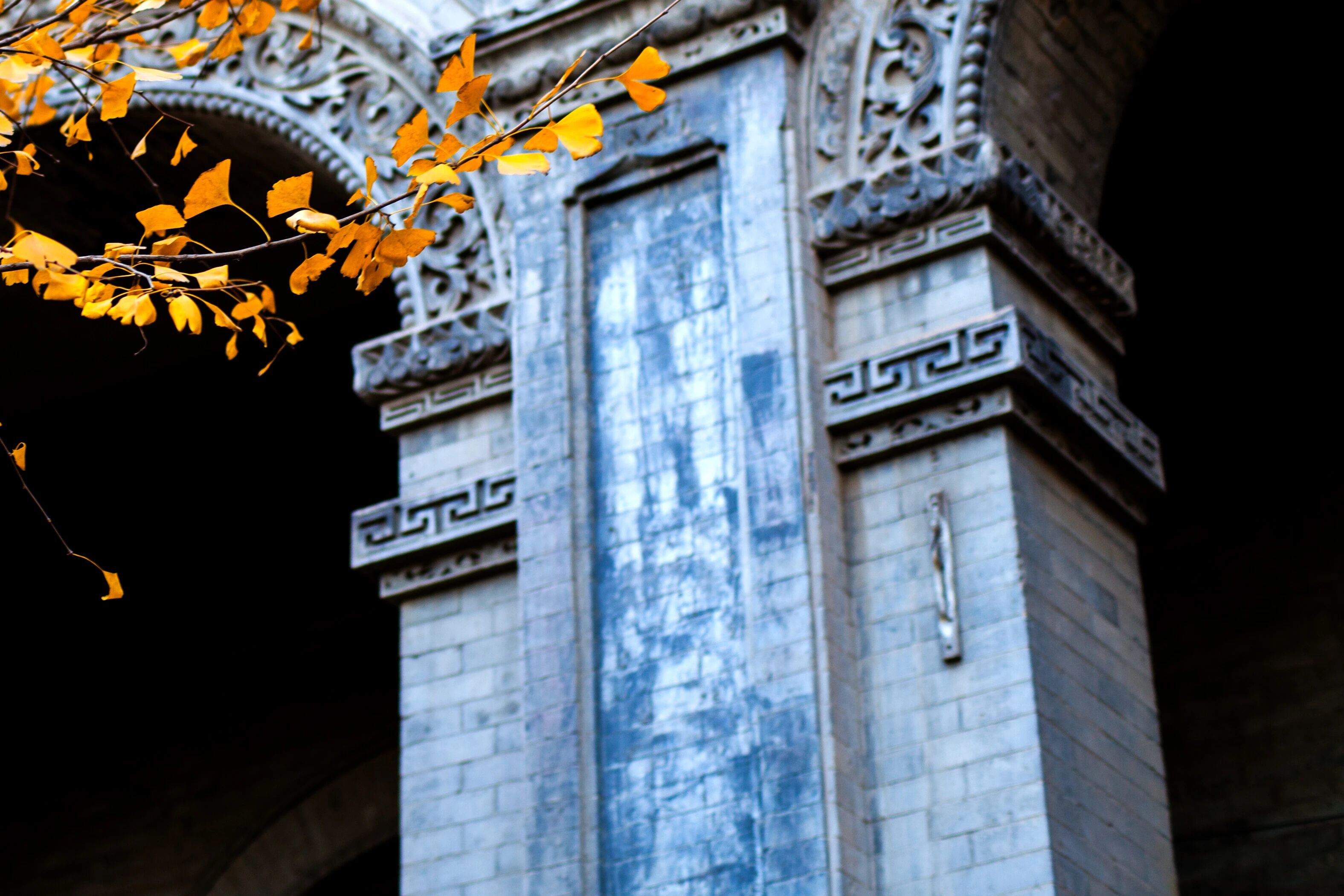 今日重阳!这些习俗、诗词,讲给孩子听→