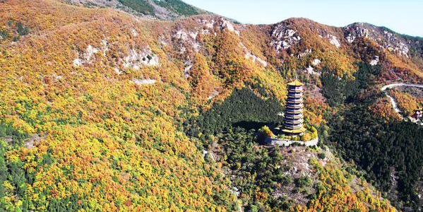 连续雾天 “上线”!鲁南、半岛早晚能见度低,7到8日山东有小到中雨