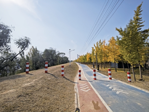 千亩银杏林附近停车成难题 回应:系因养护银杏林暂关,会尽快开放