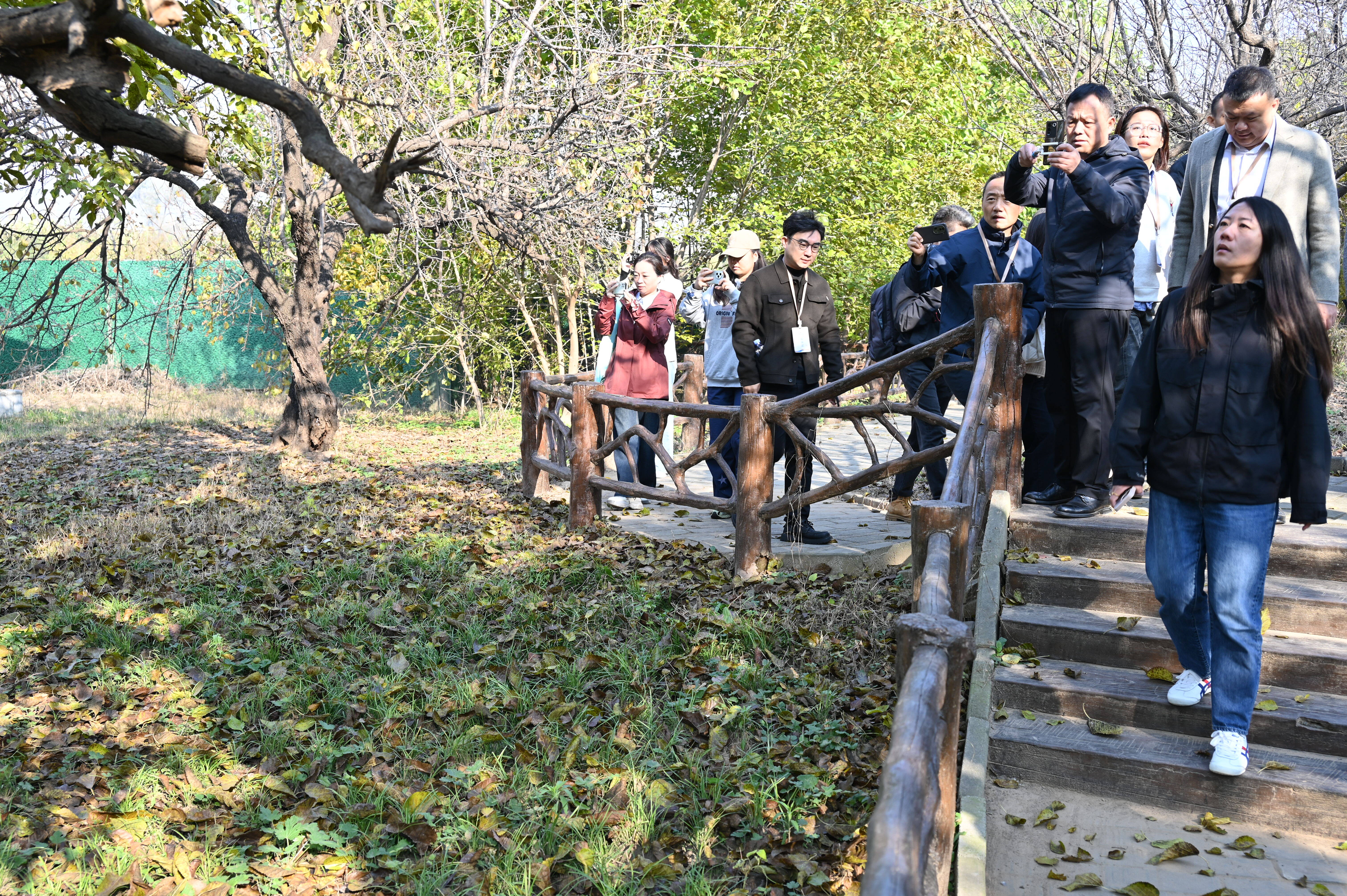 沿着黄河遇见海丨采访团走进夏津：农旅融合多元业态让古老黄河故道焕发新生