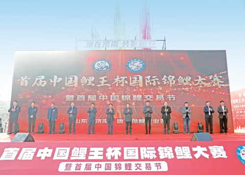 秋日盛会硕果盈枝 活力浪潮席卷泉城