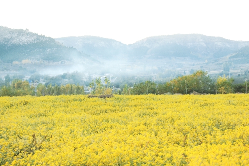 秋日盛会硕果盈枝 活力浪潮席卷泉城