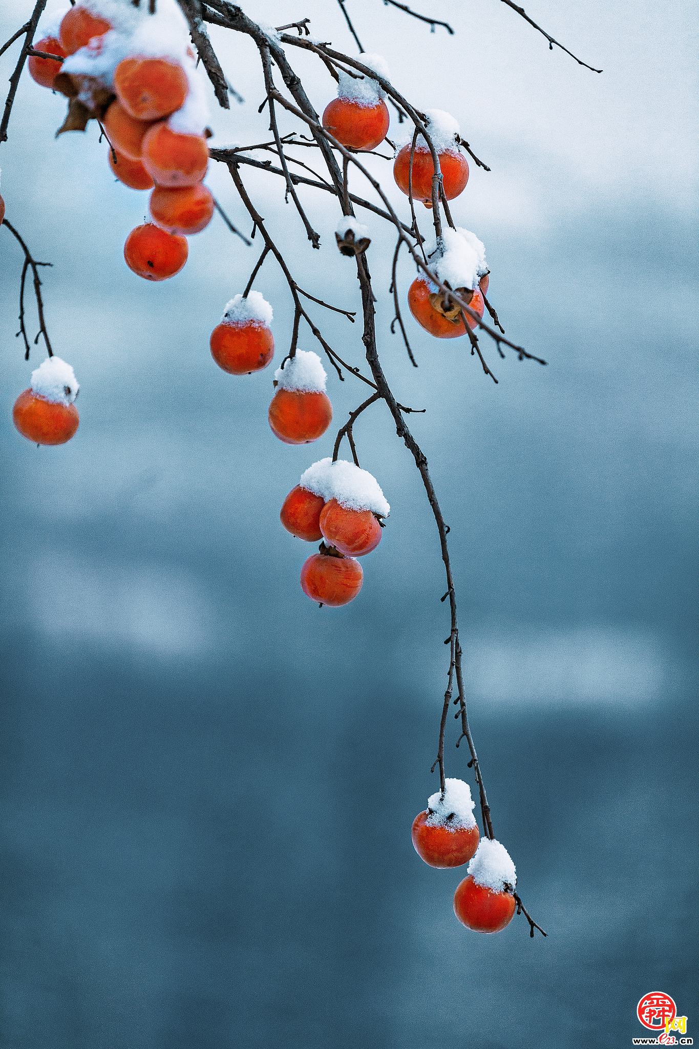 立冬：岁暮轻寒 万物归藏