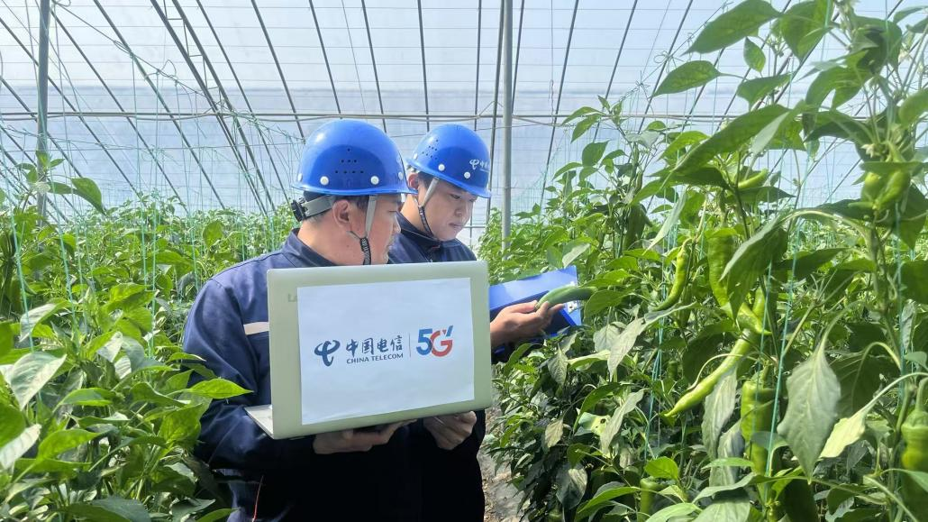 中国电信潍坊分公司荣获市工业数转智改突出贡献服务商一等奖