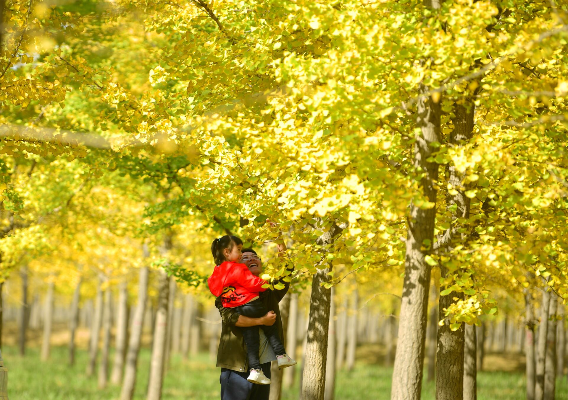 济南明天降雨上线,周日降温来了,最低气温将降至4~8℃