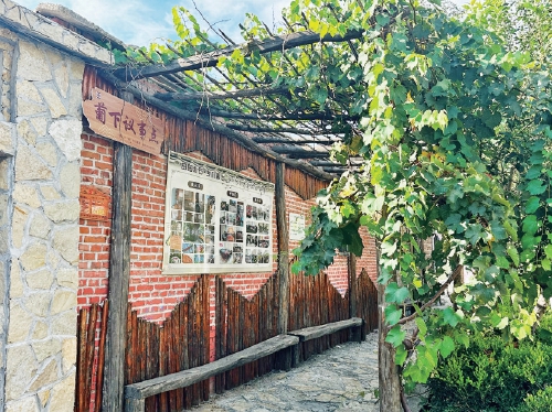 基层治理创新走深走实 破解民生千千结