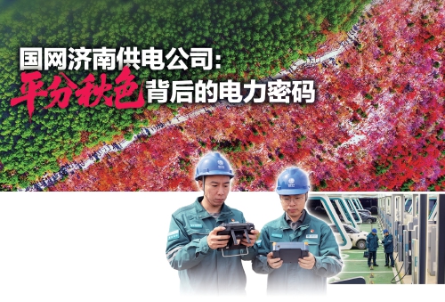 国网济南供电公司：平分秋色背后的电力密码