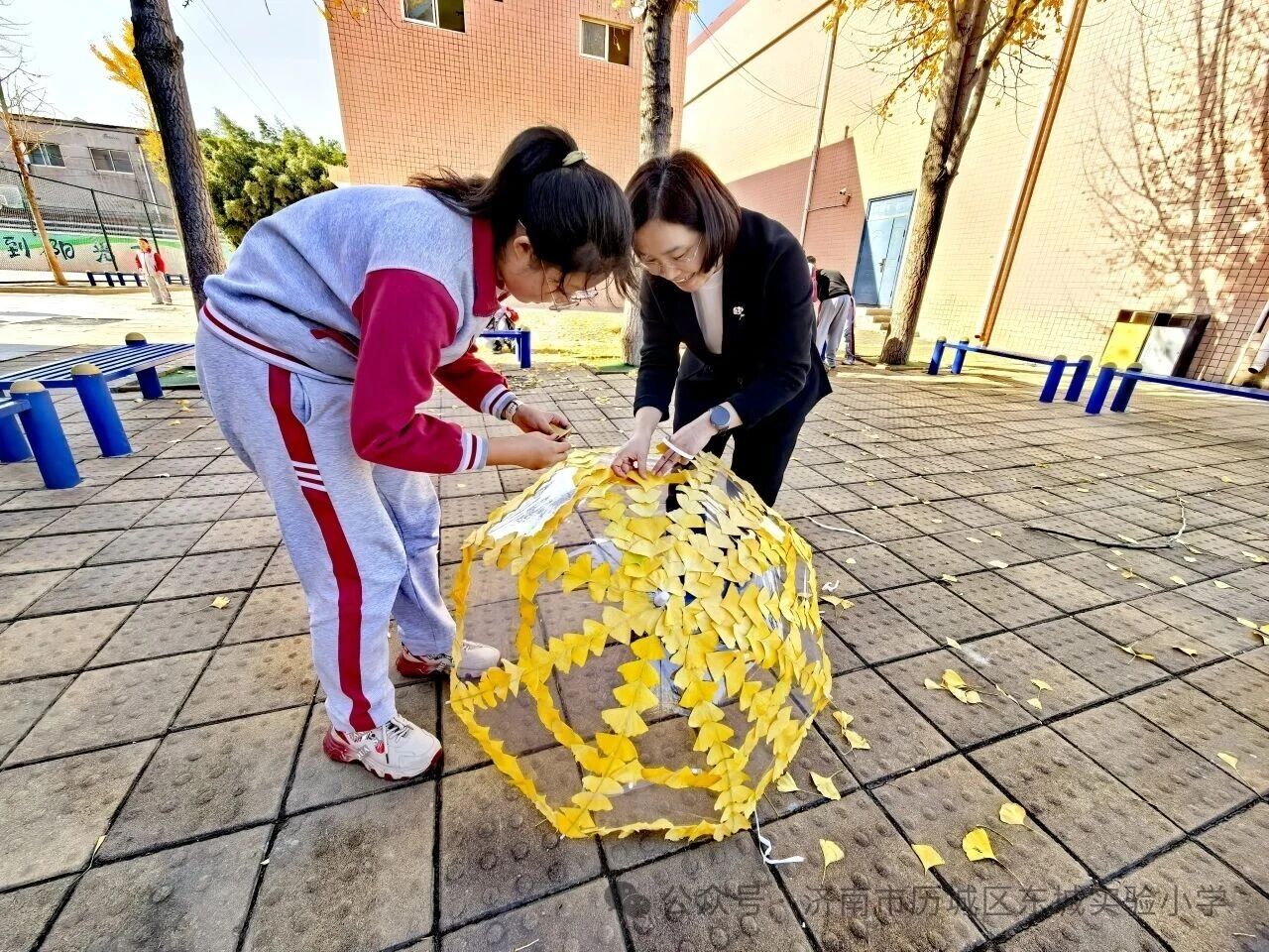 火爆全网的“银杏伞”，东城也有！——历城区东城实验小学解锁校园浪漫童话