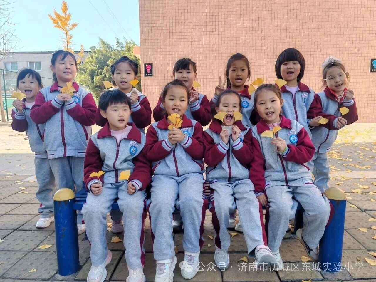 火爆全网的“银杏伞”，东城也有！——历城区东城实验小学解锁校园浪漫童话