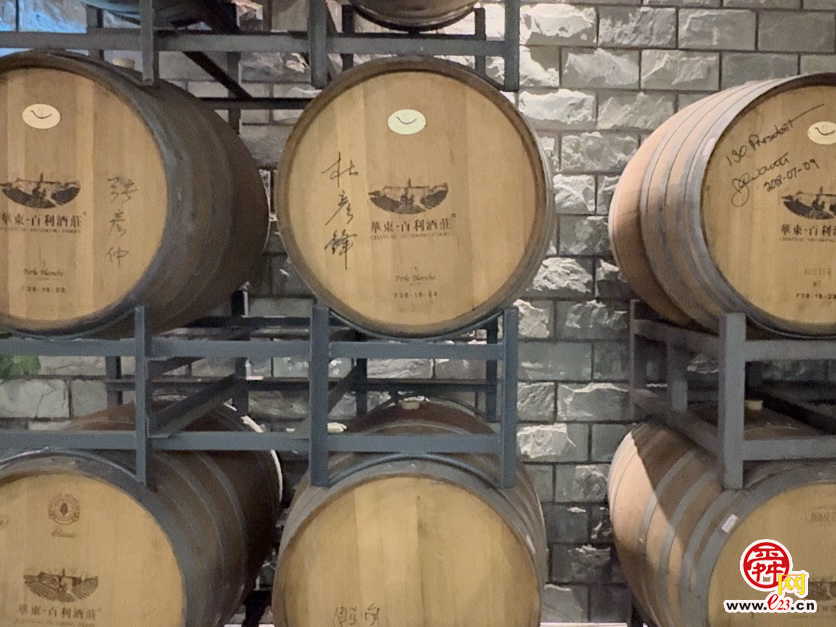 “云话山东”探访青岛：看“智能农机”与“庄园美酒”如何闯世界