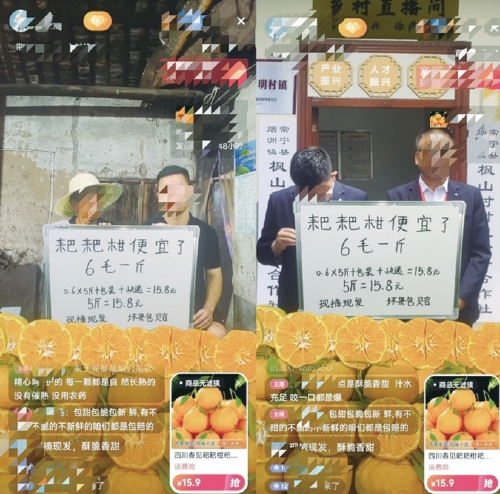 懸掛虛假的合作社牌匾，使用相同錄播素材 看似官方的助農直播竟是山寨！