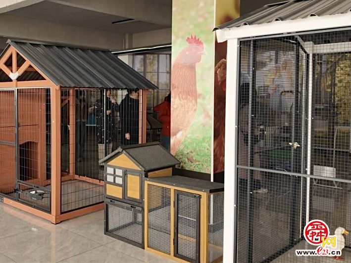 “云话山东”日照行：新兴企业迸发大能量，科技创新织就外贸新图景