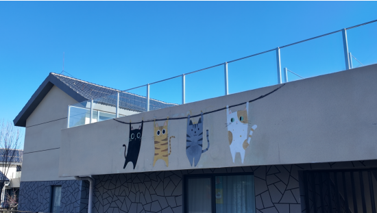 融媒·见证丨“小证”换“大证”，村民“让路”腾出乡村发展空间——于大娘搬新家