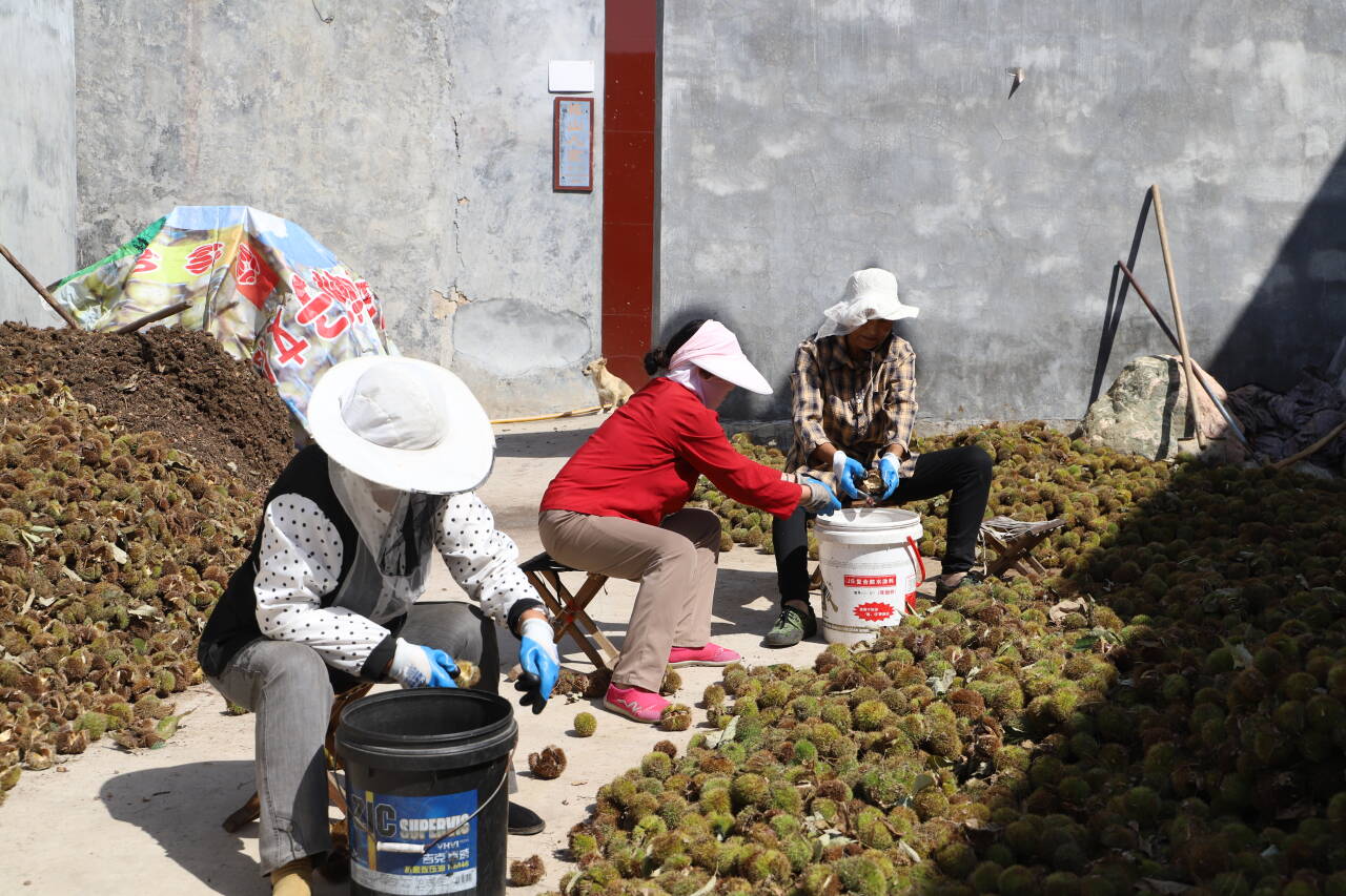 融媒·先锋|有山,有居,有鱼,有品——拔山村的“富春山居图”