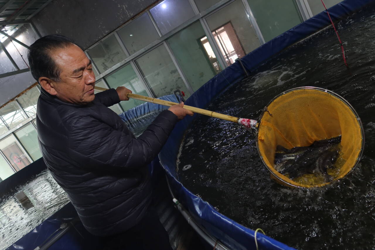融媒·先锋|有山,有居,有鱼,有品——拔山村的“富春山居图”