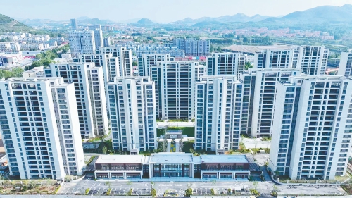 产业发展攀“高”逐“新”风正劲 钢城区“项目提升年”激发高质量发展新动能