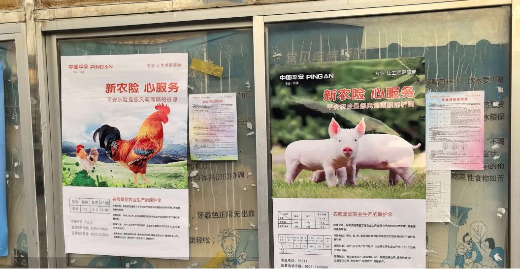 平安产险牟平支公司走进观水镇开展养殖险宣传 助力乡村振兴风险保障