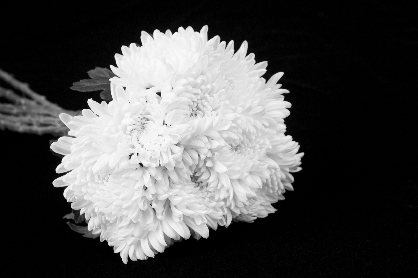 国家公祭日丨铭记历史 砥砺前行