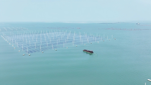 拼多多“千亿扶持”助力海洋经济创业者 80后紫菜主理人：用弹性岗温暖家务事