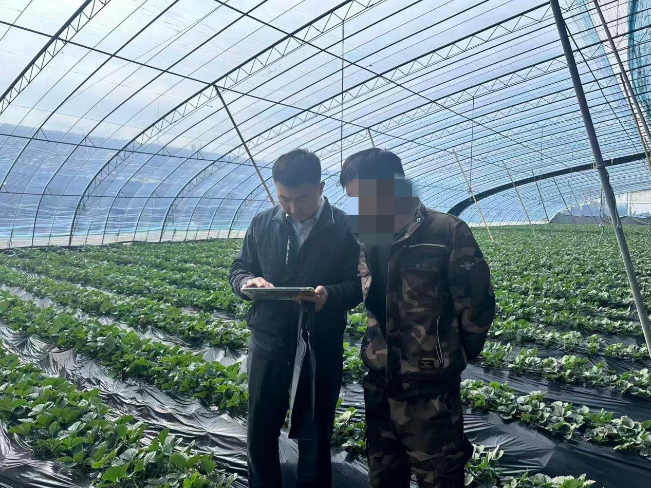 农行济南双山支行:金融“活水”浇灌乡村振兴,助力农产品提质增产