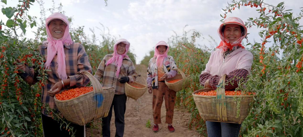 践行ESG理念，容声冰箱“寻鲜之旅”助农活动入选社会责任实践成果