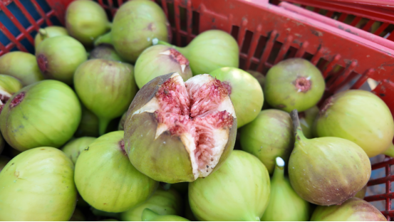 融媒·见证丨曾经的工业明星村，唱起农业“致富经”——金庄村的“甜蜜转型”