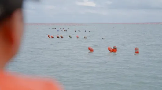 平安产险烟台中心支公司以科技驱动，筑牢乡村“粮仓金盾”