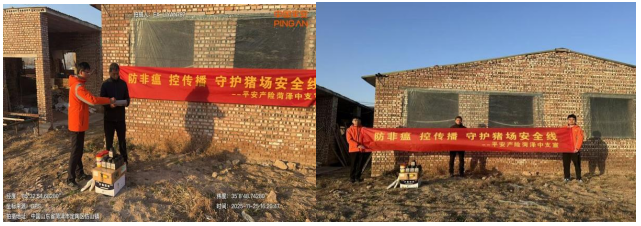 平安产险菏泽中心支公司：防灾护农，守护猪场安全线