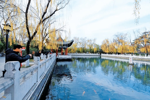 一年四季 泉在济南｜杨柳轻垂、锦鲤欢游 冬日珍珠泉美如画卷