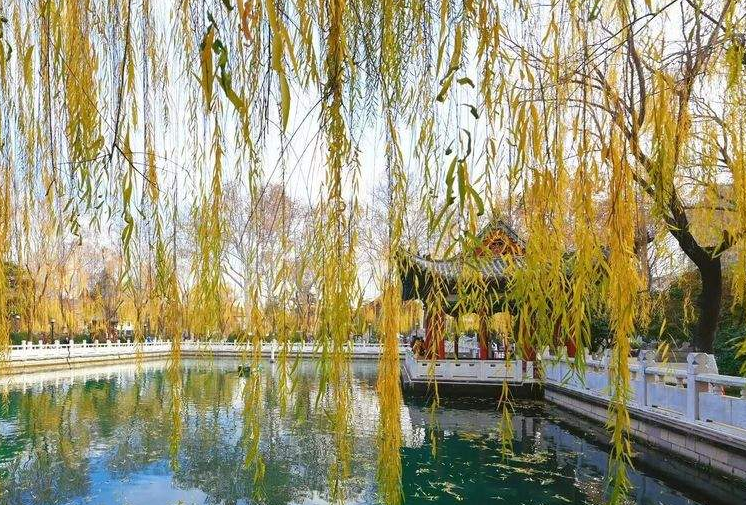 今日济南最低温跌至-9℃ 下周迎新一轮降水，部分地区有雨夹雪