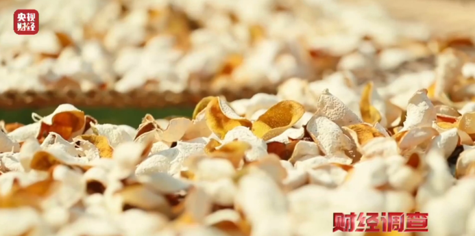 广东江门通报陈皮产地造假问题：严肃惩处6家涉事经营主体