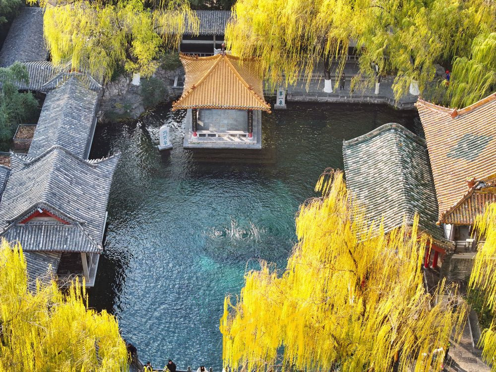 12月22日至12月31日24时，济南市公园通游年票暂停发售