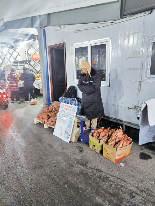 烟台小伙为救病妻来济 获赠10万斤“救命地瓜”