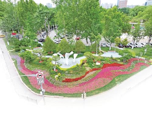 匠心绘绿铺新卷 精耕园林惠民生 历下园林打造最鲜明的城市底色