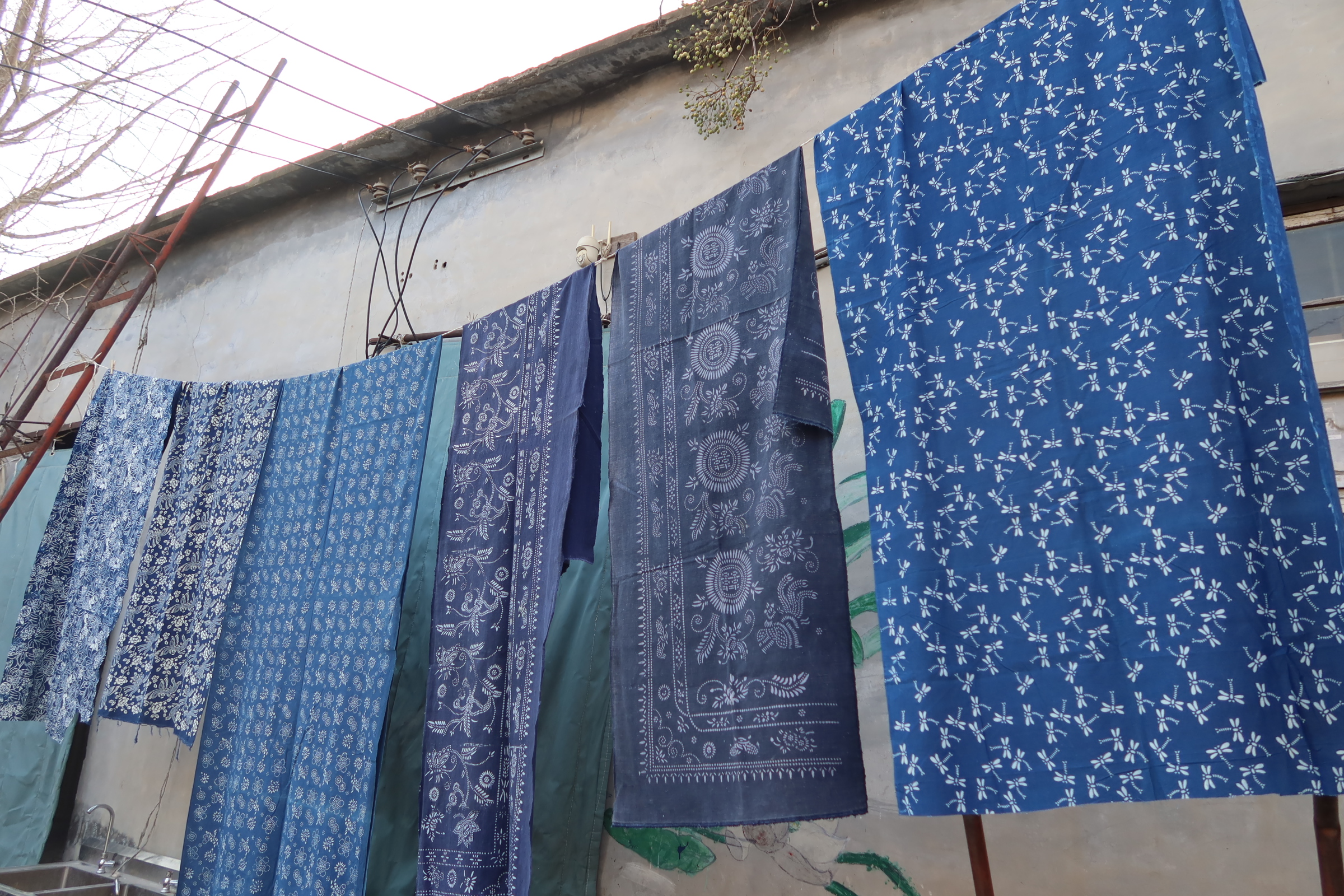 融媒·画像丨北京白领，回乡“染”出春天——靛蓝色的事业