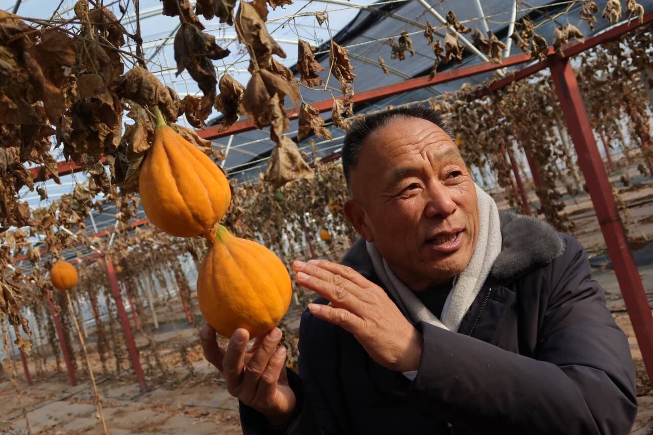 融媒·先锋｜联村共富记——一块田，一块甜