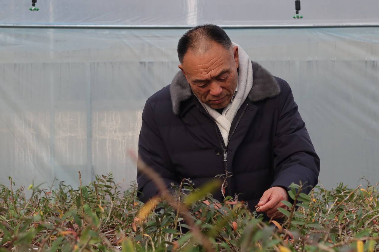 融媒·先锋｜联村共富记——一块田，一块甜