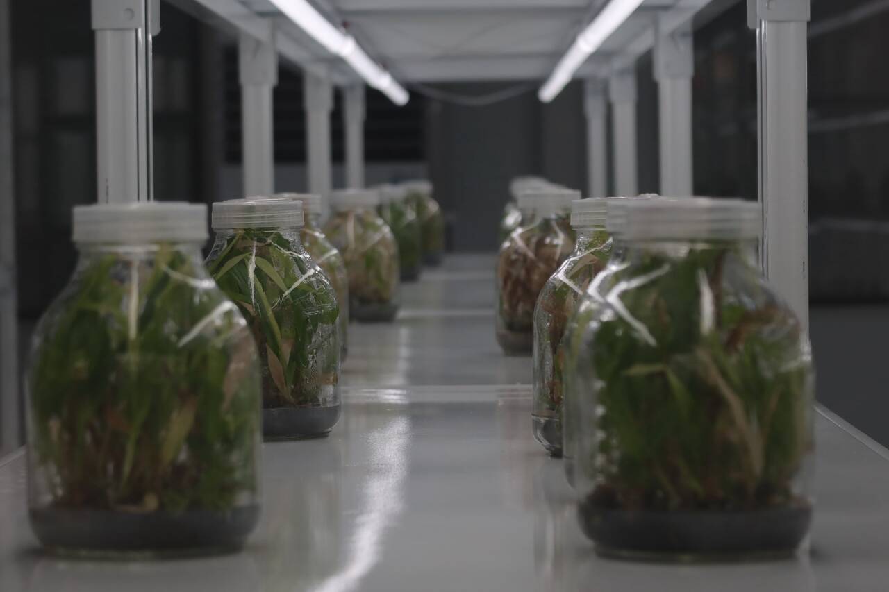 融媒·先锋｜联村共富记——一块田，一块甜