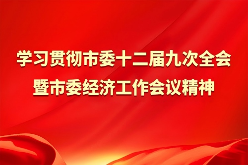 学习贯彻市委十二届九次全会暨市委经济工作会议精神