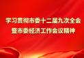学习贯彻市委十二届九次全会暨市委经济工作会议精神
