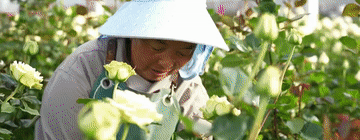 微视频｜人民幸福是头等大事