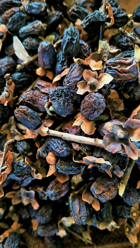 网友登山时偶遇赶回家看望年迈母亲的老人,一把软枣的温暖引来17万点赞