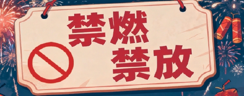 济南一男子在禁放区违规燃放烟花爆竹被处罚
