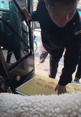 女子坐轮椅独自来济南 被地铁、市民一路无缝接力帮助