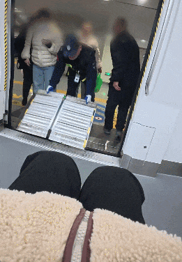 女子坐轮椅独自来济南 被地铁、市民一路无缝接力帮助