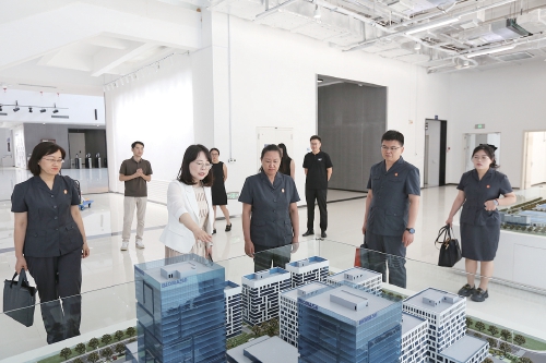 府院联动再深化 司法服务广延伸——济南法院做实协同共治细绘法治济南新图景