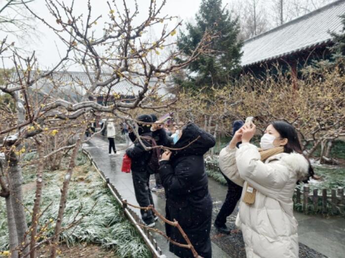 风雪里的你 同样是风景