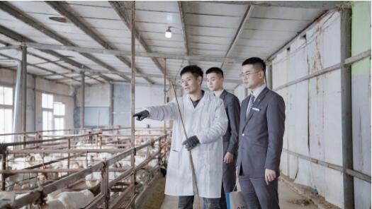 让“向前奔”的产业都有源源不断的“贷”动力——齐鲁银行深耕区域经济,以精准滴灌服务实体经济