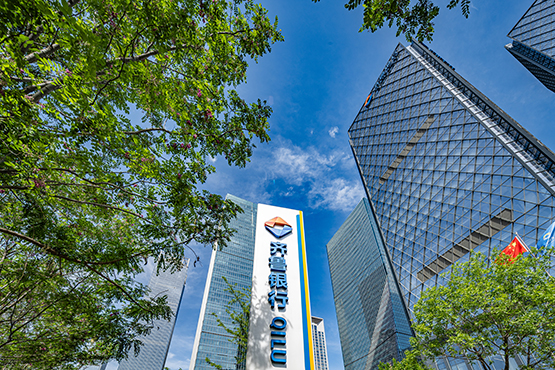 让“向前奔”的产业都有源源不断的“贷”动力——齐鲁银行深耕区域经济，以精准滴灌服务高质量发展